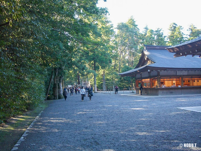 伊勢神宮「豊受大神宮（外宮）」参道