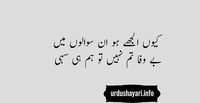 urdu shayari on bewafa boyfriend - two lines image poetry for status