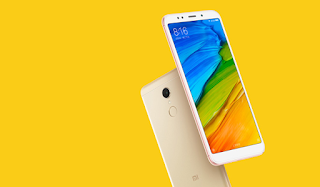 2 Cara Screenshot Xiaomi Redmi 5 Dan Redmi 5 Plus untuk menangkap layar di xiaomi