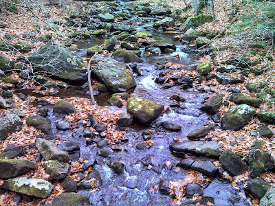 Chapel Brook