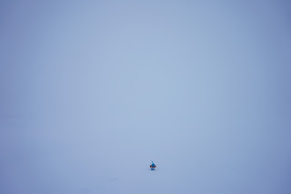 冬　アイスランド　一面　雪景色　ミズゴロウ　寒い