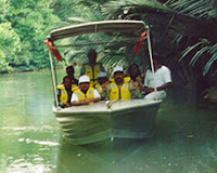 Brunei Mangrove Boat