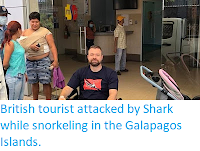 https://sciencythoughts.blogspot.com/2018/02/british-tourist-attacked-by-shark-while.html