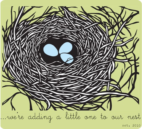 the-stoyan-nest