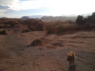 Scout above the Poison Spider slickrock ledges, with Moab Rim and the La Sal Mountains