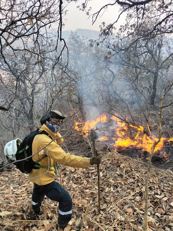 Controlan incendios forestales en Teúl de González Ortega, Monte Escobedo y Valparaíso