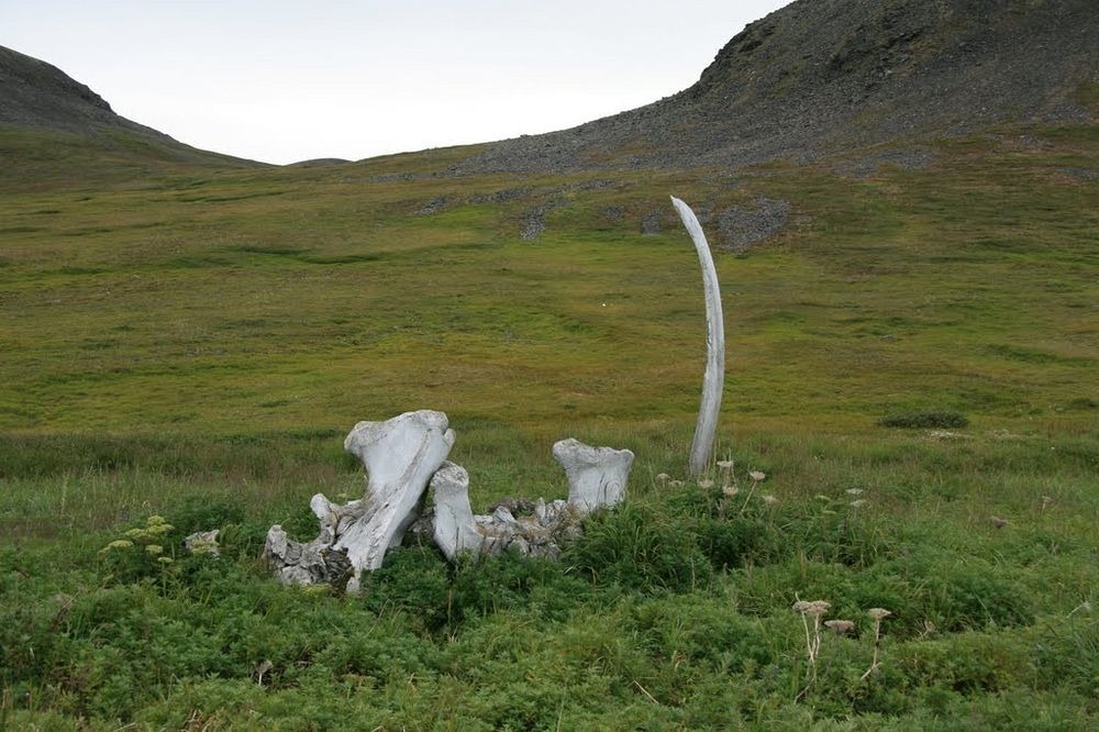 whale-bone-alley-4 whale-bone-alley-4