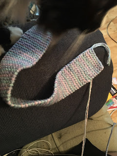 A long garter stitch band of knitting in a variegated pastel yarn being sniffed by a fluffy black and white cat. The photo was taking on the arm of a navy blue couch.