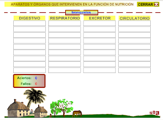 http://www.gobiernodecanarias.org/educacion/3/WebC/eltanque/pizarradigital/AparatoDigestivo/actividades/actividades3_p.html