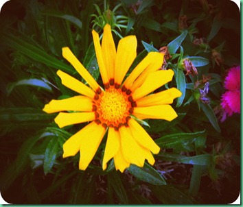 DSCF3281