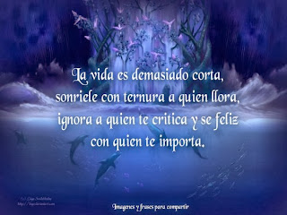 Imagenes bonitas de amor con frases 