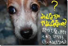 今日カズ１０１２０９　４