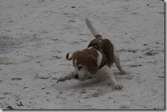 IMG_6041