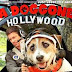  A Doggone Hollywood película español latino hd 1080p