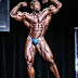 Big Canadian puma Henri-Pierre Ano