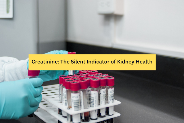 Creatinine: The Silent Indicator of Kidney Health