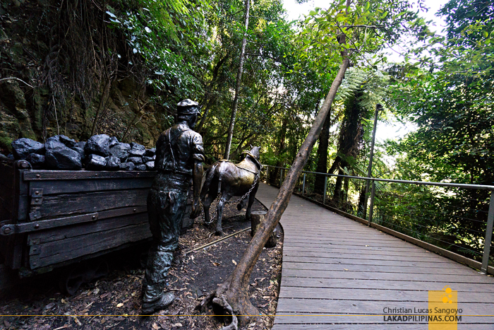 Scenic World Blue Mountains Scenic Walkway