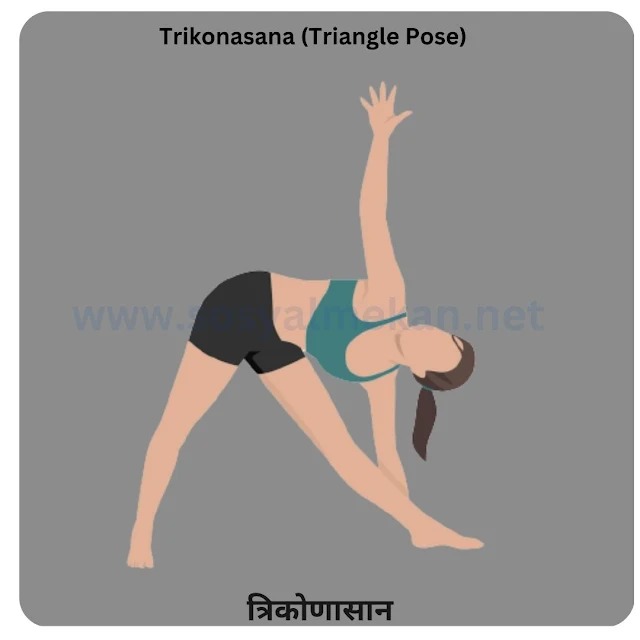 Asanas, Trikonasana (Triangle Pose)