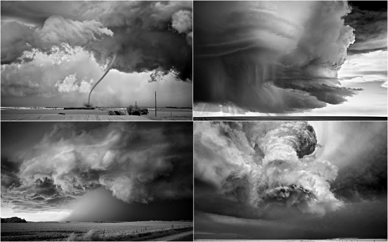 Mitch-Dobrowner