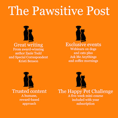 Flyer for The Pawsitive Post says Great writing, exclusive events, and the Happy Pet Challenge