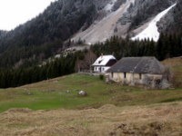 Žirovniška planina