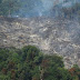 Awal Juli, ‘Pembakaran’ Hutan dan Lahan di Riau Melonjak Drastis