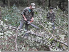 woodcutting 07