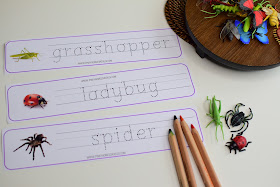 INSECT THEMED SPELLING WORKSHEETS