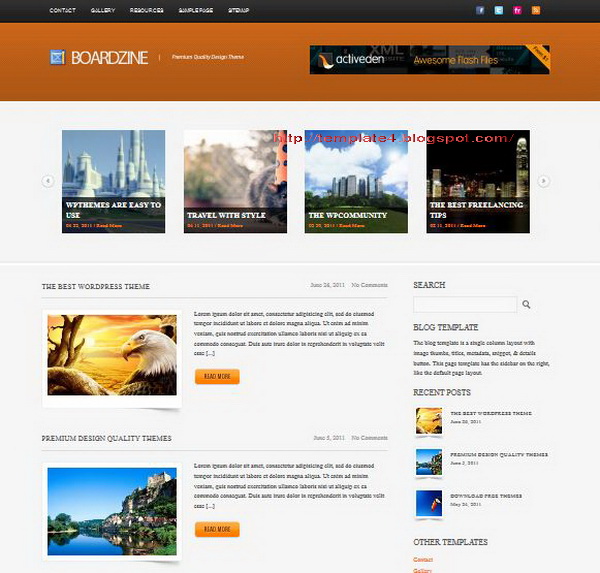 BoardZine WordPress Theme