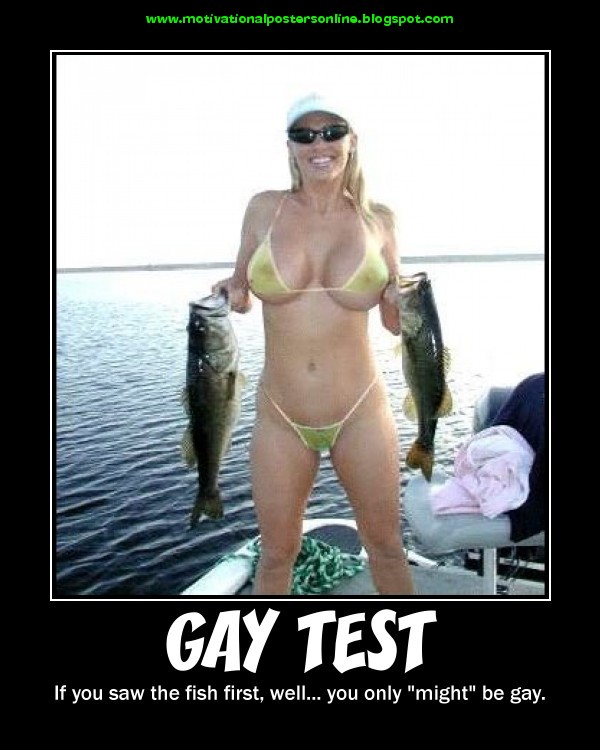 MOTIVATIONAL POSTERS: GAY TEST