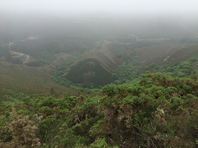 Spain, Marronda forest and the Eo River   by E.V.Pita (2015)  http://evpita.blogspot.com/2015/06/spain-marronda-forest-and-eo-river.html   Fraga de Marronda - río Eo (Baleira, Lugo)  por E.V.Pita (2015)