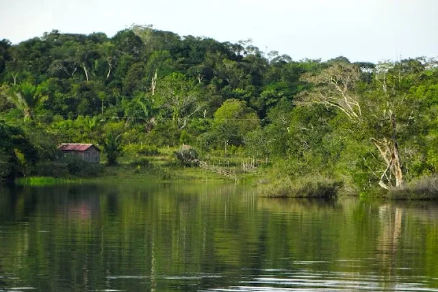 Impacto de la reforestación y deforestación en los recursos hidróxido