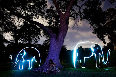 Elefánt  fénnyel 
