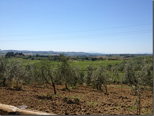 2012-06-17-Tuscany02