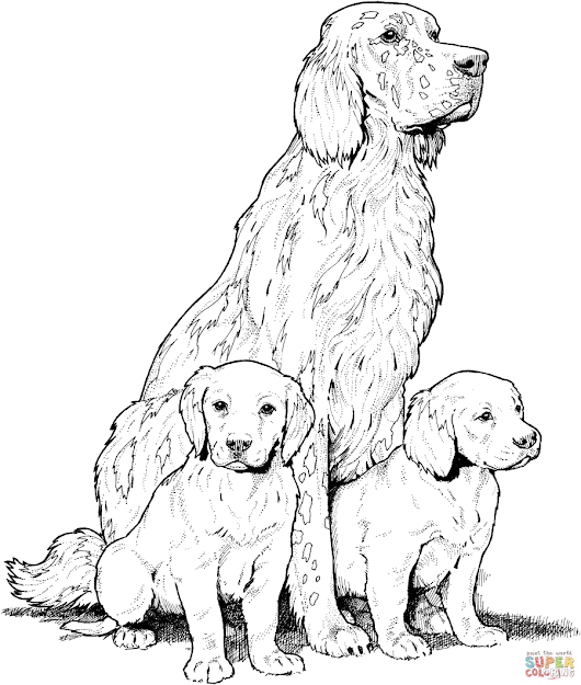 Dogs Coloring Pages Free Coloring Pages