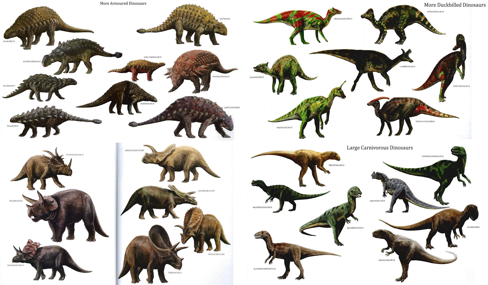 Different Types  Dinosaurs  Different Types 