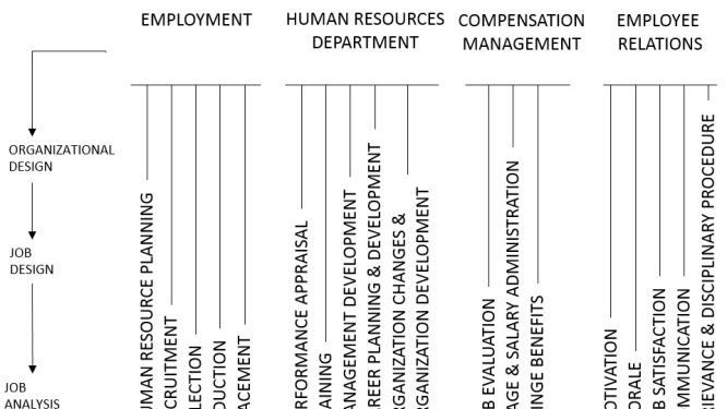Professional In Human Resources - How To Become A Certified Human Resources Professional