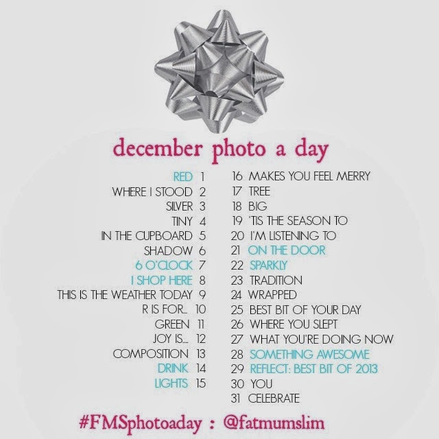 DECEMBER-PHOTO-A-DAY