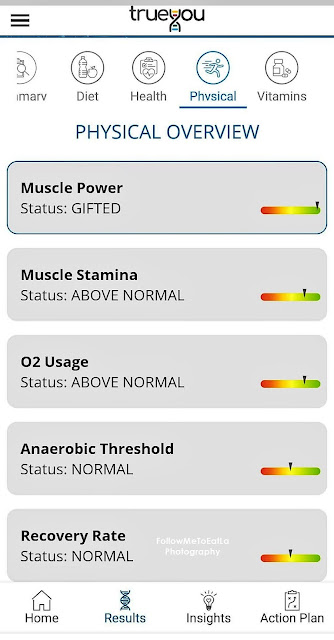 PHYSICAL OVERVIEW