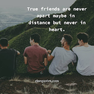 Friendship Quotes With Images