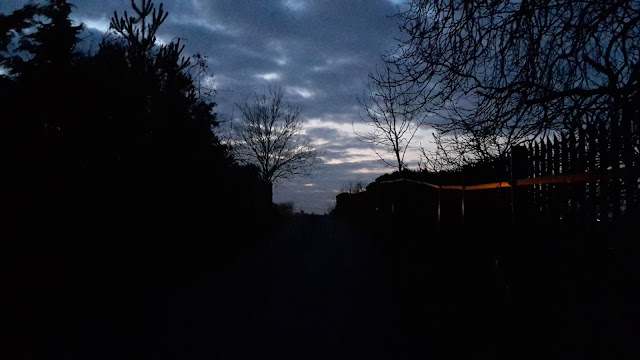 Project 365 2015 day 347 - Evening darkness // 76sunflowers