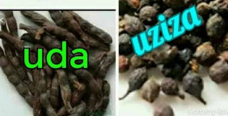 Benefits of Uda and Uziza after delivery