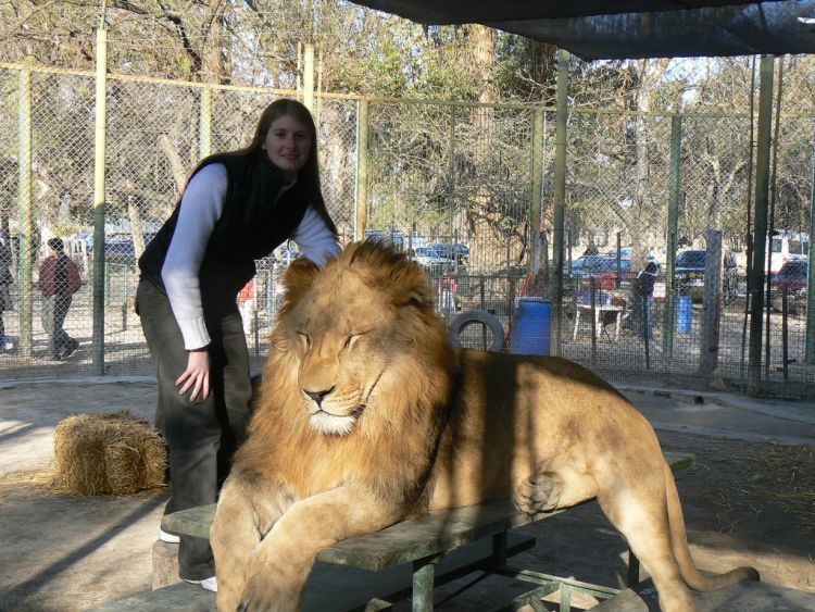 Unbelieavable Pictures from Lujan Zoo in Argentina