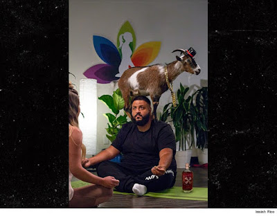 dj khaled, bumbu rum, goat yoga,