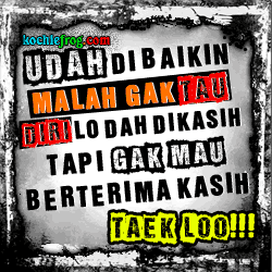 DP BBM KATA-KATA SINDIRAN COWOK CEWEK 2017 - Kochie Frog