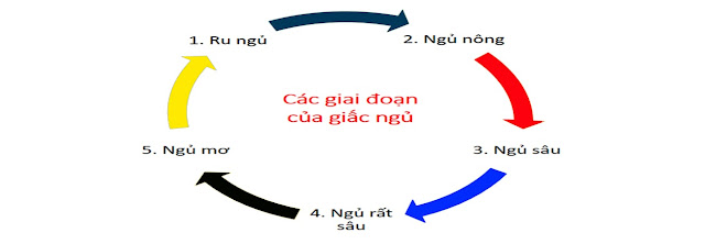 Quy trình giấc ngủ 5 bước