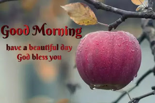 Good morning fruits images