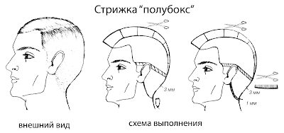 Стрижка полубокс