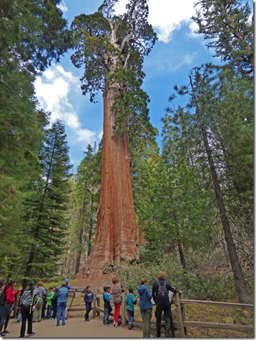 General Grant Sequoia Tree, Grant Grove