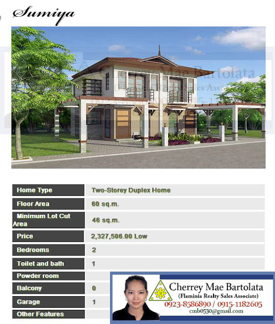 Mazari Cove Naga Minglanilla Cebu House and Lot For Sale Beachfront Subdivision